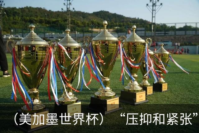 （美加墨世界杯）“压抑和紧张”中的伊朗队首秀