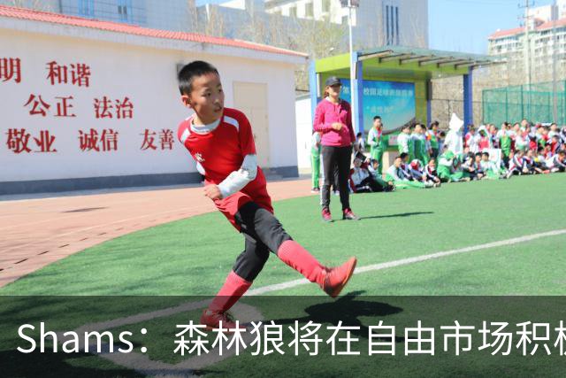 Shams：森林狼将在自由市场积极补强4号位 但他们只能提供底薪